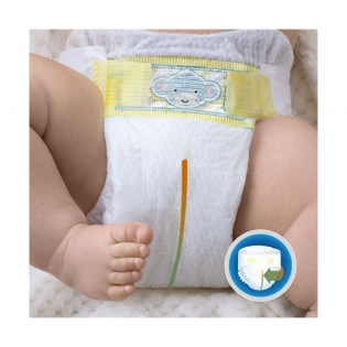 Dodot Pants T5, 30 Diapers, 12-17kg best price