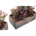 Dekorativ plante DKD Home Decor 19 x 9 x 22 cm Pink Orange Kaktus Eva Gummi polypropylen (2 enheder)