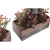 Planta Decorativa DKD Home Decor 19 x 9 x 22 cm Cor de Rosa Laranja Catos Borracha Eva Polipropileno (2 Unidades)