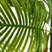 Dekorativ plante Grøn PVC 170 cm Palmera