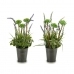 Decoratieve plant 8430852222176 Lavendel Paars Metaal Wit Groen Plastic 13 x 40 x 13 cm