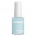 лак для ногтей Andreia Professional Hypoallergenic Nº 5 (14 ml)