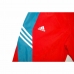 Hose für Erwachsene Adidas Sportswear Blau Rot Herren