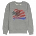 Мъжки суичър без качулка Converse Graphic Fleece Crew Светло сив