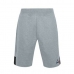 Herren-Sportshorts Le coq sportif Essentiels N°1 Hellgrau