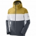 Anorak de ski Salomon Slalom Gris Homme