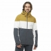 Chaqueta de Esquí Salomon Slalom Gris Hombre