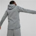 Men’s Hoodie Puma Evostripe Grey