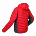 Chaqueta Deportiva para Hombre Regatta Harrock Rojo