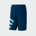 Pantaloni Corti Sportivi da Uomo Adidas Sportive Nineties Azzurro