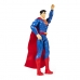 Actiefiguren DC Comics 6056778 30 cm (30 cm)