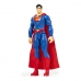 Figurine de Acțiune DC Comics 6056778 30 cm (30 cm)