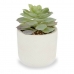 Decoratieve plant Wit Groen Plastic