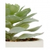 Decoratieve plant Wit Groen Plastic