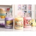 Αρωματικό Κερί Yankee Candle Classic Medium Jar Candles Βανίλια 411 g