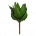 Dekoratyvinis augalas Alijošius 13 x 24,5 x 14 cm Žalia Plastmasinis (6 vnt.)