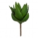 Plantă decorativă Aloe Vera 13 x 24,5 x 14 cm Verde Plastic (6 Unități)