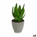 Dekorativní rostlina Aloe Vera 14 x 21 x 14 cm Šedý Zelená Plastické (6 kusů)