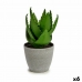 Dekoratiivne Taim Aloe vera 15 x 23,5 x 15 cm Hall Roheline Plastmass (6 Ühikut)