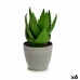 Dekorativna rastlina Aloe Vera 15 x 23,5 x 15 cm Siva Zelena Plastika (6 kosov)