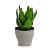 Dekoratiivne Taim Aloe vera 15 x 23,5 x 15 cm Hall Roheline Plastmass (6 Ühikut)