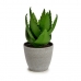 Dekorativ Plante Aloe Vera 15 x 23,5 x 15 cm Grå Grønn Plast (6 enheter)