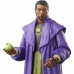 Actionfigurer Hasbro He Who Remains