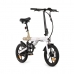 Ηλεκτρικό Ποδήλατο Youin BK0500 Μαύρο 20
