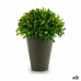 Plantă decorativă Plastic 13 x 16 x 13 cm Verde Gri (12 Unități)