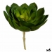 Decoratieve plant 22 x 19 x 19 cm Groen Plastic (6 Stuks)