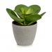 Dekorativna rastlina 18 x 18,5 x 18 cm Siva Zelena Plastika (6 kosov)