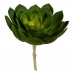 Decoratieve plant 22 x 19 x 19 cm Groen Plastic (6 Stuks)