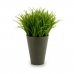 Decoratieve plant Plastic 11 x 18 x 11 cm Groen Grijs (12 Stuks)