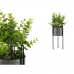 Dekorativ Plante Eucalyptus Metall Plast 14 x 40 x 14 cm (8 enheter)