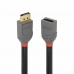 DisplayPort-Kabel LINDY 36495 Svart