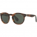 Ladies' Sunglasses Ralph Lauren RL 8146P