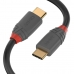 Kabel USB C LINDY 36902 Černý 1,5 m