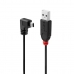 USB 2.0 A til Mini USB B Kabel LINDY 31971 1 m Svart