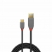 Kabel USB A naar USB C LINDY 36887 Zwart 2 m