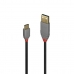 Kabel USB A naar USB C LINDY 36887 Zwart 2 m