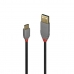 USB A til USB C-kabel LINDY 36887 Sort 2 m