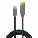Câble USB A vers USB C LINDY 36911 Noir Anthracite