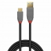 USB A til USB C Kabel LINDY 36911 Svart Antrasitt