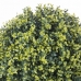 Dekorativna rastlina   Sferă Pomlad 40 x 40 x 40 cm