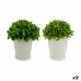 Decoratieve plant Plastic 13 x 17 x 13 cm (12 Stuks)