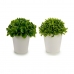 Decoratieve plant Plastic 13 x 17 x 13 cm (12 Stuks)