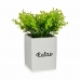 Plante décorative Volets Petit Plastique Ciment 13 x 18 x 13 cm (6 Unités)