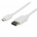 Адаптер USB C—DisplayPort Startech CDP2DPMM6W 1,8 m Белый