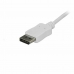 Adaptador USB C para DisplayPort Startech CDP2DPMM6W 1,8 m Branco