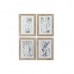 Malba DKD Home Decor Moderní/jazz Botanické rostliny 30 x 2 x 40 cm (4 kusů)